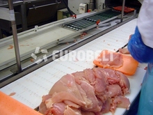 Eurobelt taśma segmentowa_transport mięsa drobiowego